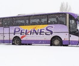 12246286-1-mopUHKcnGG1700721907773.jpeg
