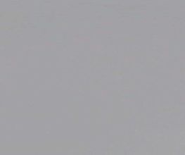 Wise Solution GmbH Bild 15