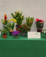 GIARDINI DOS SANTOS CANIÇO Bild 10