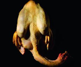 TRANSGOURMET image 14