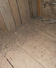 A4D Sanitation image 14