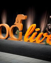 Hundecoach Melly- Mobil & Individuell Bild 8