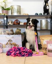 Lina, Hundert Prozent wau, Gesundheit, Training und Unterstützung für Hunde und ihre Menschen, Sandra Egli Bild 11