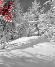 Ecole du Ski Français ESF image 8