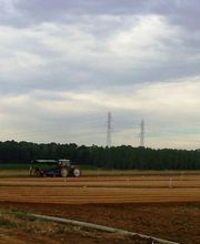 Millon Pépinières image 1