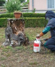 Stop Guêpes 02 image 1