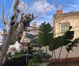 Sannier David Espaces Verts image 17