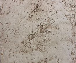 Wild Malerei AG Bild 11