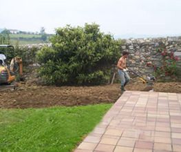 jarditania-mano-obra-05.jpg