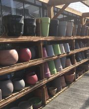 Jardinerie André image 14