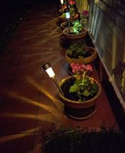 310481783-1-4CQl5Z0g7B1785310861016.jpeg