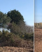 Moutons-Gloutons image 7