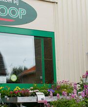 Soest Welkoop