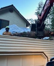 Saylor Landscaping image 4