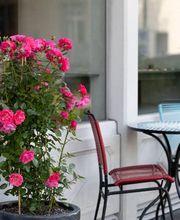 Edelsteinschmuck & Eheringe, Saintscraft Bild 11