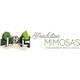 Fondation Mimosas