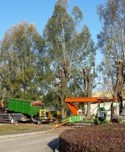 Mollier Bertrand image 7