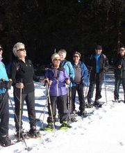 Pro Senectute pour les + 60 ans Bild 8