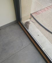 Dérat Guêpe 26 image 19