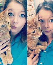 Germantown Hills Animal Hospital image 8