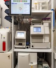 Clinique vétérinaire du Barlet - Douai - Sevetys image 13