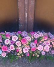 Le Temps D'une Fleur image 11
