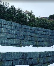 Tschan Gartenbau & Gartenunterhalt GmbH Bild 5