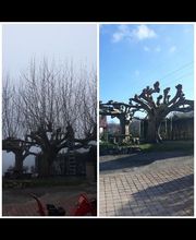 Fournier Benoît image 10