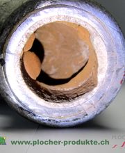 Plocher Schweiz GESUNDLEBEN DBB Othmar Hoesli-Falk Bild 6