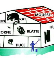 Lorillou Ets image 15