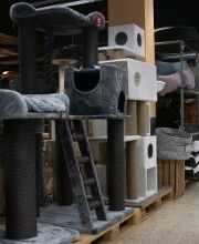 Habekost Heimtiermarkt Bild 14