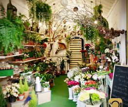 nature-world-floristeria-interior-tienda-01.jpg