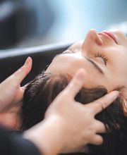 Sommerlatte4Friends Bild 1