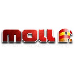 Malermeister Axel Moll