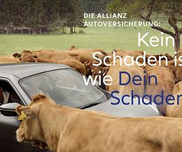 Allianz Agentur Andreas Eißner Bild 5