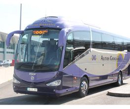 autobus-transporte-05-g.jpg