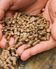 BROSSARD ENERDEM image 1