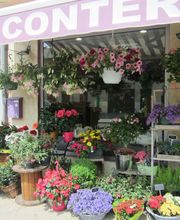 Conter Fleurette image 2