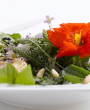 Luchterhand Bio-Catering Bild 3