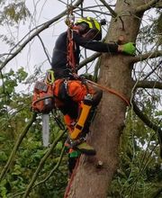 Nadrowski Baumdienst Bild 18