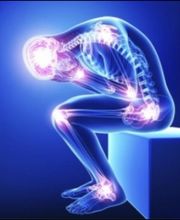 Dubreuil Nicolas image 1