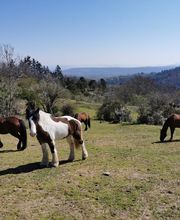 Ecole D'Equitation De Chazeron image 18
