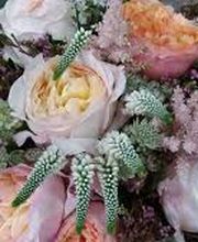 Acacia_Floristeria_Merida_Ramo3.jpg