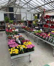 Bricomarché Roye image 15