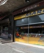 Gallery Cliente