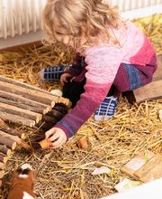 Kita Waldi Bern Bild 4