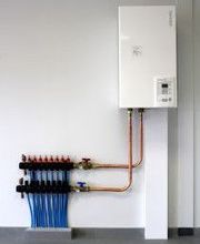 Gaurier Alexandre image 1