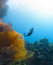 digitalONE V2 Bild 1