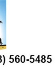 Southern Paws Animal Hospital image 3