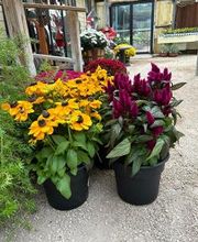 Johansen Landscape & Nursery image 1